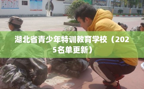 湖北省青少年特训教育学校（2025名单更新）