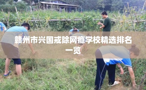 赣州市兴国戒除网瘾学校精选排名一览