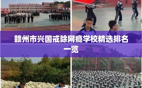 赣州市兴国戒除网瘾学校精选排名一览