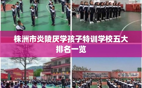 株洲市炎陵厌学孩子特训学校五大排名一览