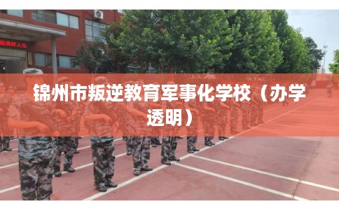 锦州市叛逆教育军事化学校（办学透明）