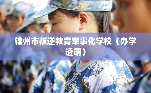 锦州市叛逆教育军事化学校（办学透明）