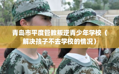青岛市平度管教叛逆青少年学校（解决孩子不去学校的情况）