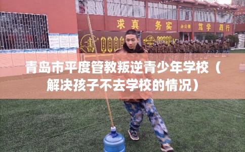 青岛市平度管教叛逆青少年学校（解决孩子不去学校的情况）