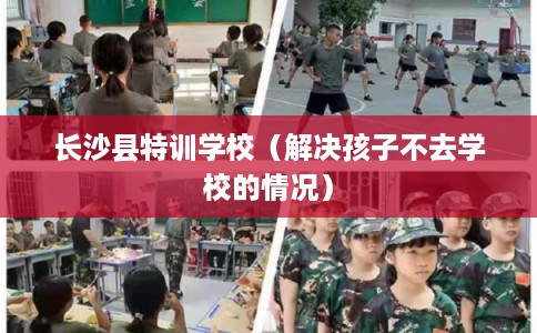 长沙县特训学校（解决孩子不去学校的情况）