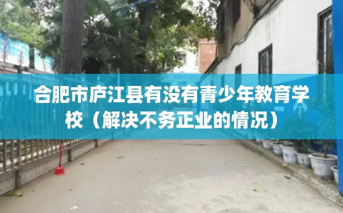 合肥市庐江县有没有青少年教育学校（解决不务正业的情况）