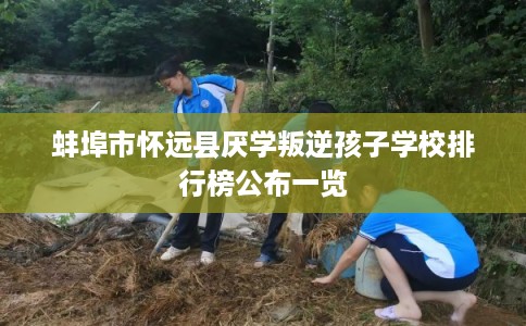 蚌埠市怀远县厌学叛逆孩子学校排行榜公布一览
