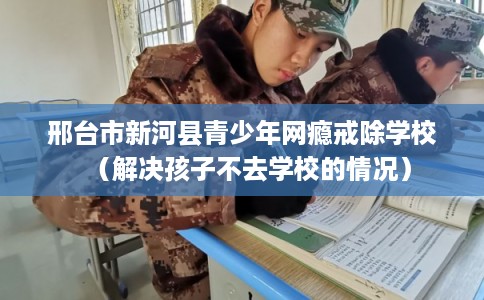 邢台市新河县青少年网瘾戒除学校（解决孩子不去学校的情况）