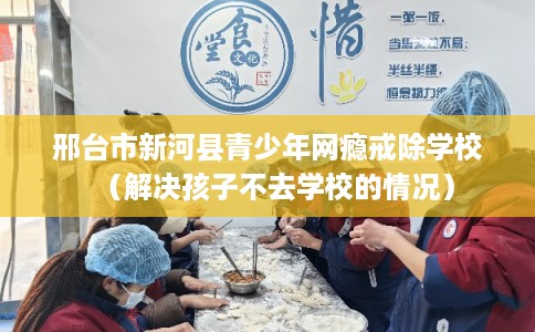 邢台市新河县青少年网瘾戒除学校（解决孩子不去学校的情况）