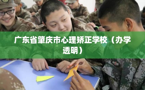 广东省肇庆市心理矫正学校（办学透明）