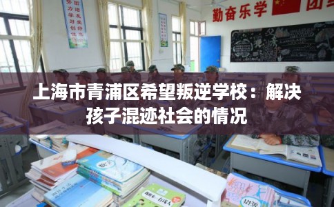 上海市青浦区希望叛逆学校：解决孩子混迹社会的情况