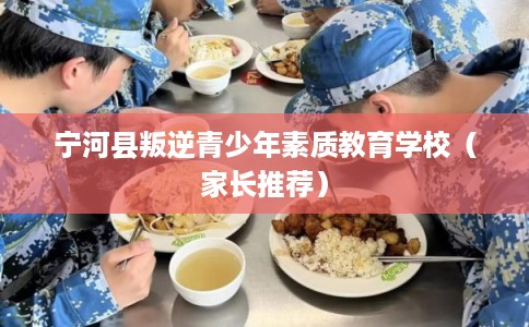 宁河县叛逆青少年素质教育学校（家长推荐）