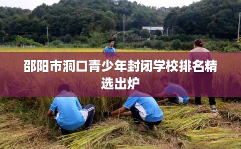 邵阳市洞口青少年封闭学校排名精选出炉