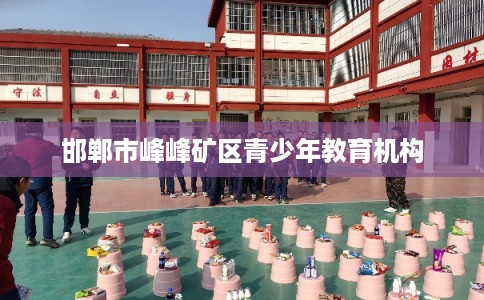 邯郸市峰峰矿区青少年教育机构