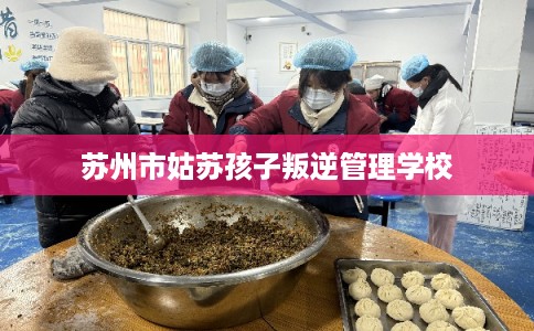 苏州市姑苏孩子叛逆管理学校