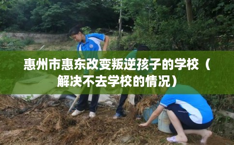 惠州市惠东改变叛逆孩子的学校（解决不去学校的情况）