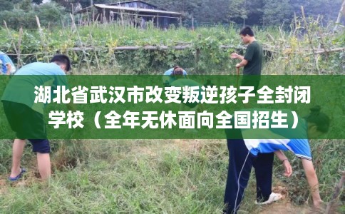 湖北省武汉市改变叛逆孩子全封闭学校（全年无休面向全国招生）