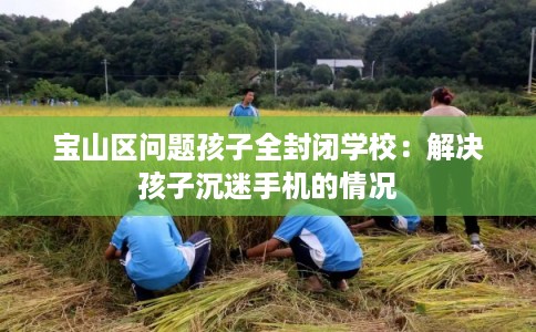 宝山区问题孩子全封闭学校：解决孩子沉迷手机的情况