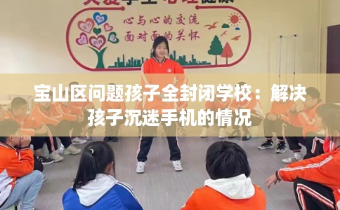 宝山区问题孩子全封闭学校：解决孩子沉迷手机的情况