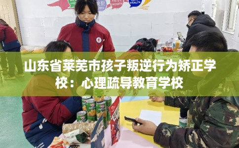 山东省莱芜市孩子叛逆行为矫正学校：心理疏导教育学校