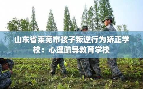 山东省莱芜市孩子叛逆行为矫正学校：心理疏导教育学校