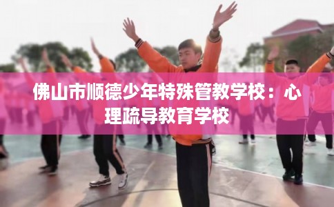 佛山市顺德少年特殊管教学校：心理疏导教育学校