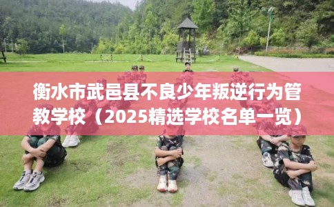 衡水市武邑县不良少年叛逆行为管教学校（2025精选学校名单一览）
