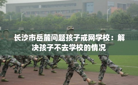 长沙市岳麓问题孩子戒网学校：解决孩子不去学校的情况