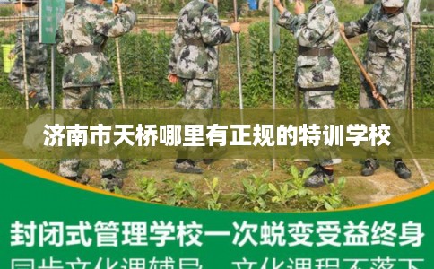 济南市天桥哪里有正规的特训学校