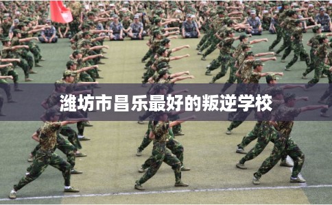 潍坊市昌乐最好的叛逆学校