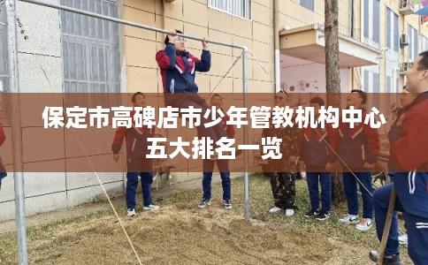 保定市高碑店市少年管教机构中心五大排名一览