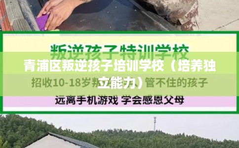 青浦区叛逆孩子培训学校（培养独立能力）