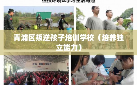 青浦区叛逆孩子培训学校（培养独立能力）