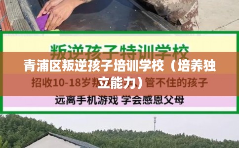 青浦区叛逆孩子培训学校（培养独立能力）