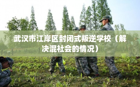 武汉市江岸区封闭式叛逆学校（解决混社会的情况）