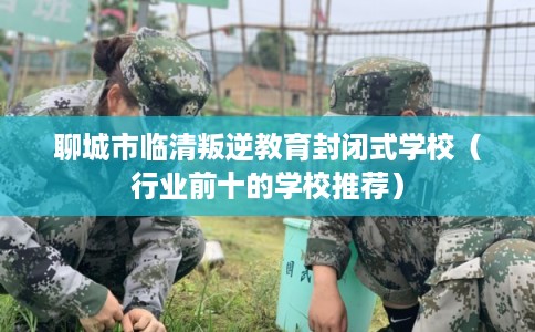 聊城市临清叛逆教育封闭式学校（行业前十的学校推荐）