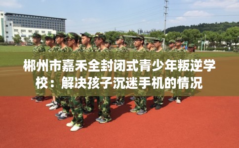 郴州市嘉禾全封闭式青少年叛逆学校：解决孩子沉迷手机的情况