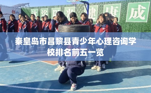 秦皇岛市昌黎县青少年心理咨询学校排名前五一览