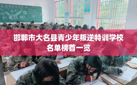 邯郸市大名县青少年叛逆特训学校名单榜首一览