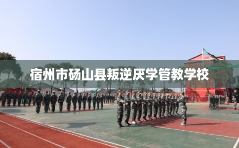 宿州市砀山县叛逆厌学管教学校