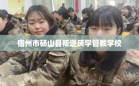 宿州市砀山县叛逆厌学管教学校