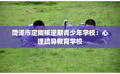 菏泽市定陶叛逆期青少年学校：心理疏导教育学校