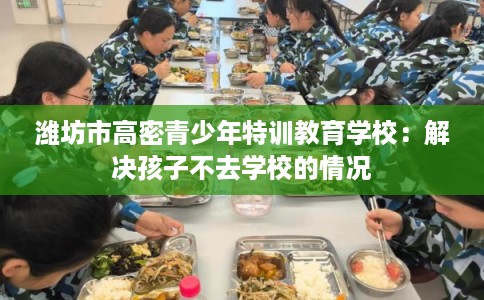潍坊市高密青少年特训教育学校：解决孩子不去学校的情况