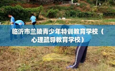 临沂市兰陵青少年特训教育学校（心理疏导教育学校）