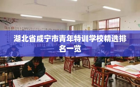 湖北省咸宁市青年特训学校精选排名一览