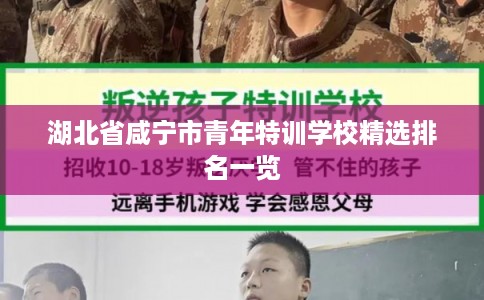 湖北省咸宁市青年特训学校精选排名一览