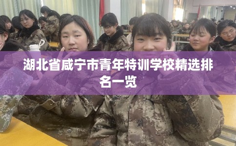 湖北省咸宁市青年特训学校精选排名一览