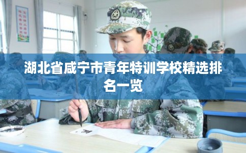 湖北省咸宁市青年特训学校精选排名一览