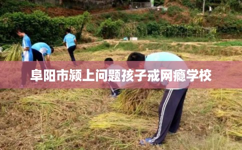 阜阳市颍上问题孩子戒网瘾学校