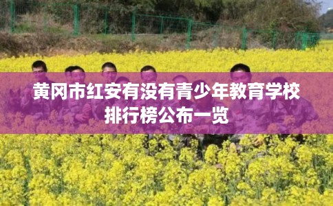 黄冈市红安有没有青少年教育学校排行榜公布一览